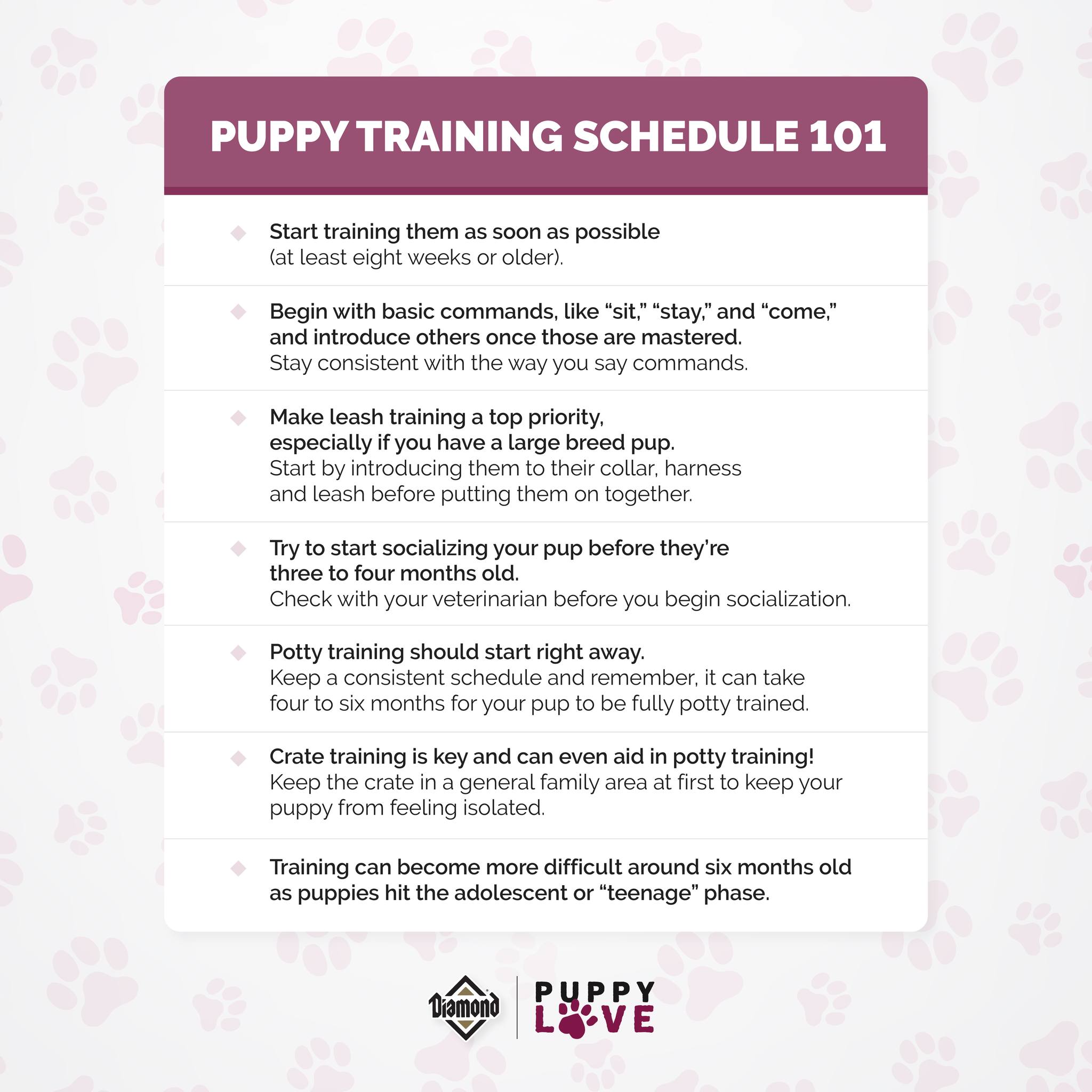 Diamond Pet Foods Facebook ad: Diamond Pet Foods' Puppy Love Newsletter