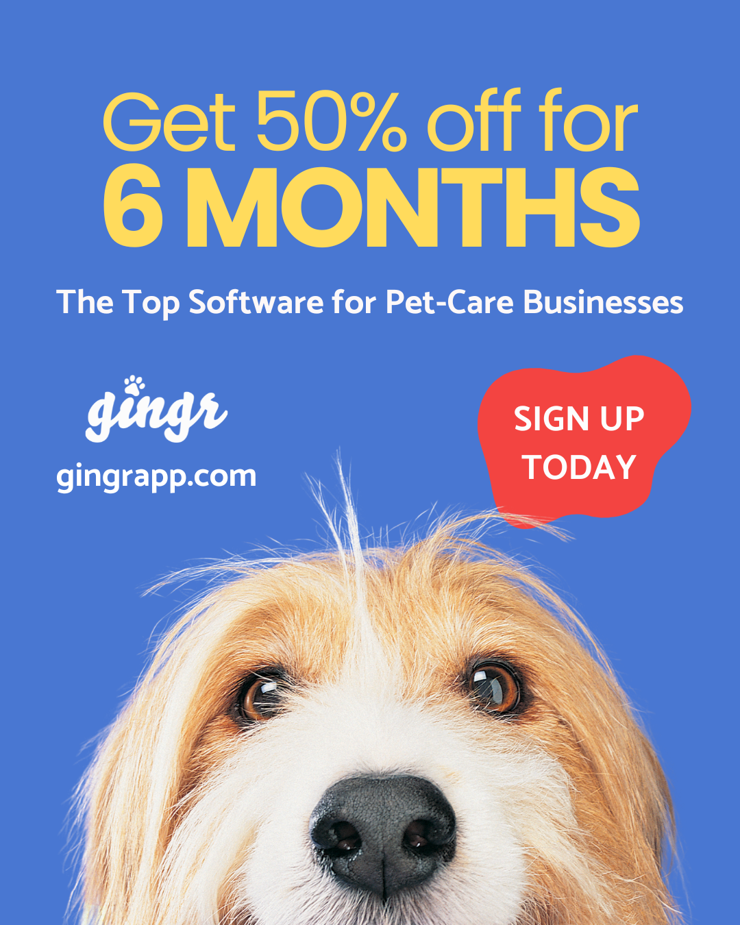 Gingr Facebook ad