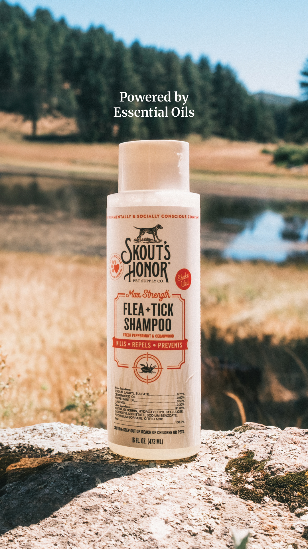 Skout's Honor Facebook ad