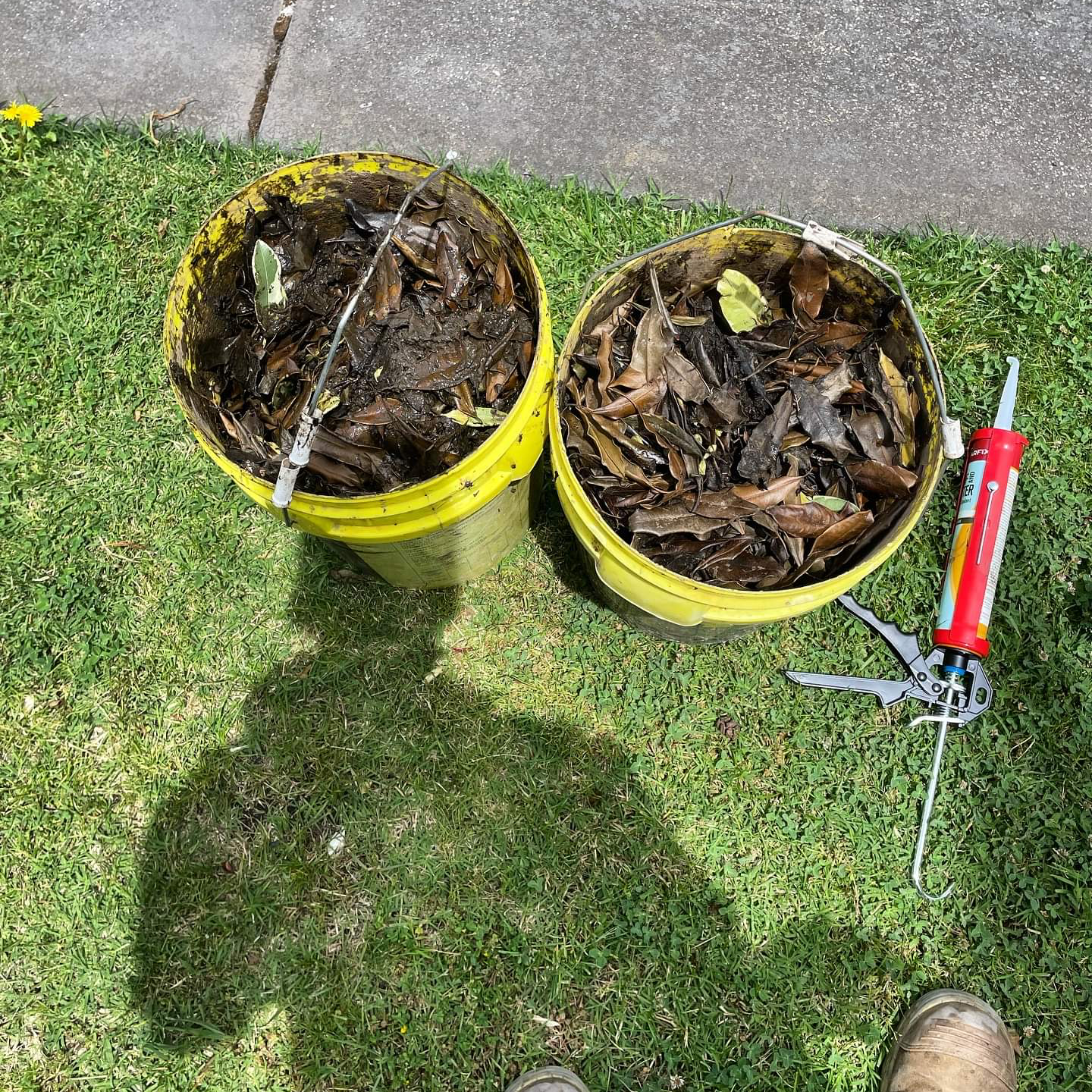 Roof Clean Ballarat Facebook ad: What’s hiding in your gutters?