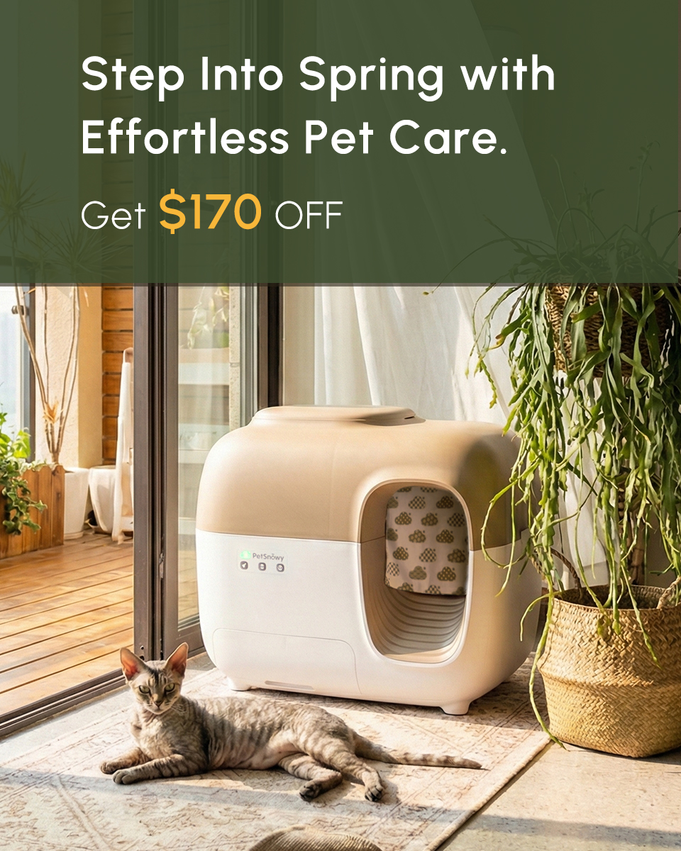 PetSnowy Facebook ad