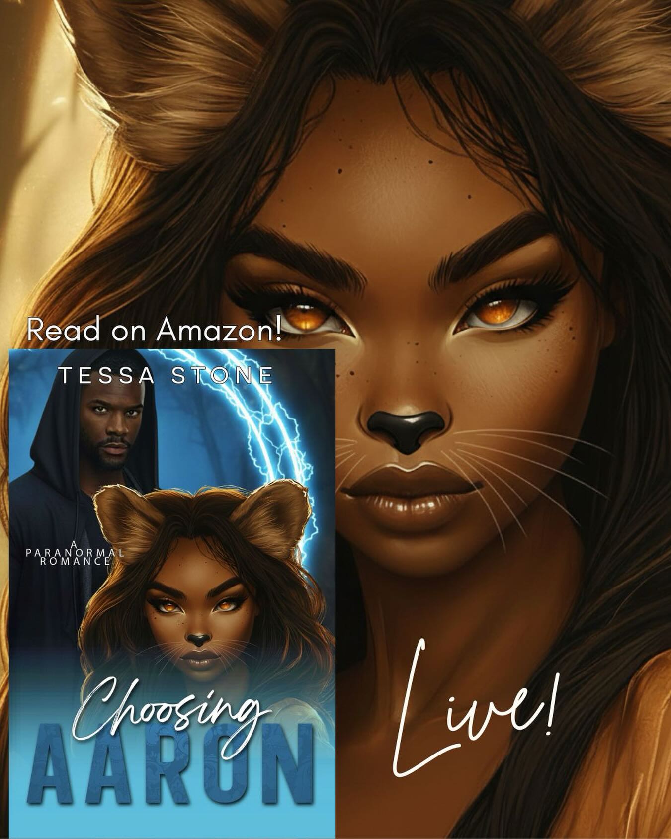Author Tessa Stone Facebook ad