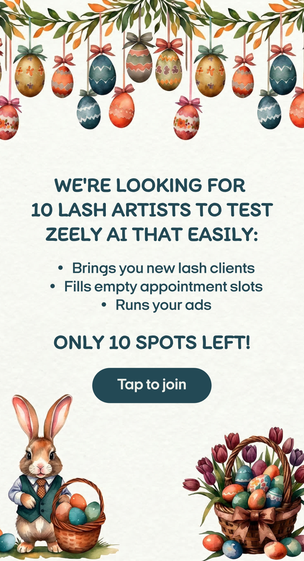 Zeely Facebook ad