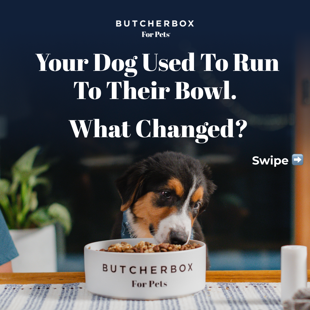 ButcherBox For Pets Facebook ad: Just because it says fresh doesn’t mean it’s…