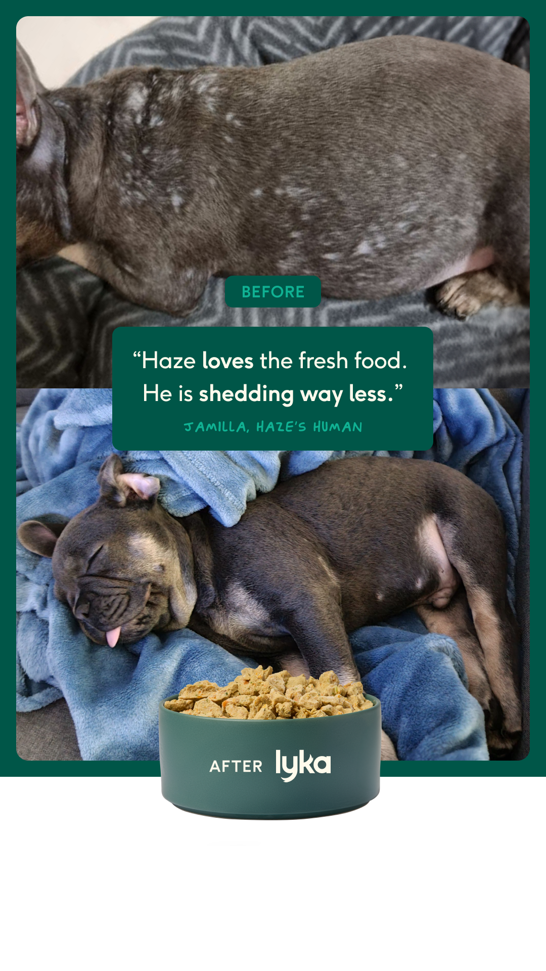 Lyka Pet Food Facebook ad