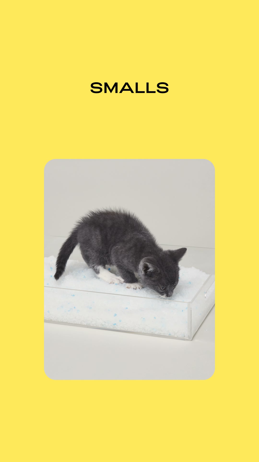 Smalls Facebook ad: Human-Grade Fresh Cat Food