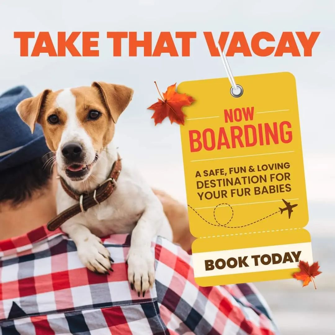 Ridgeside K9, LLC Facebook ad