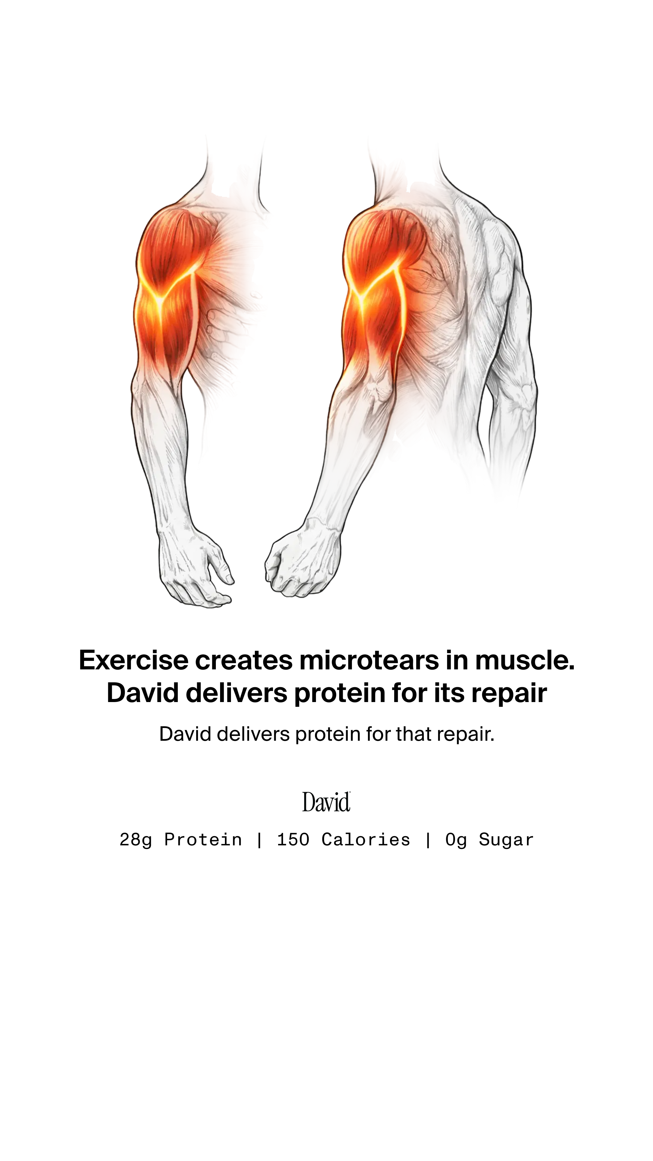 David Protein Facebook ad