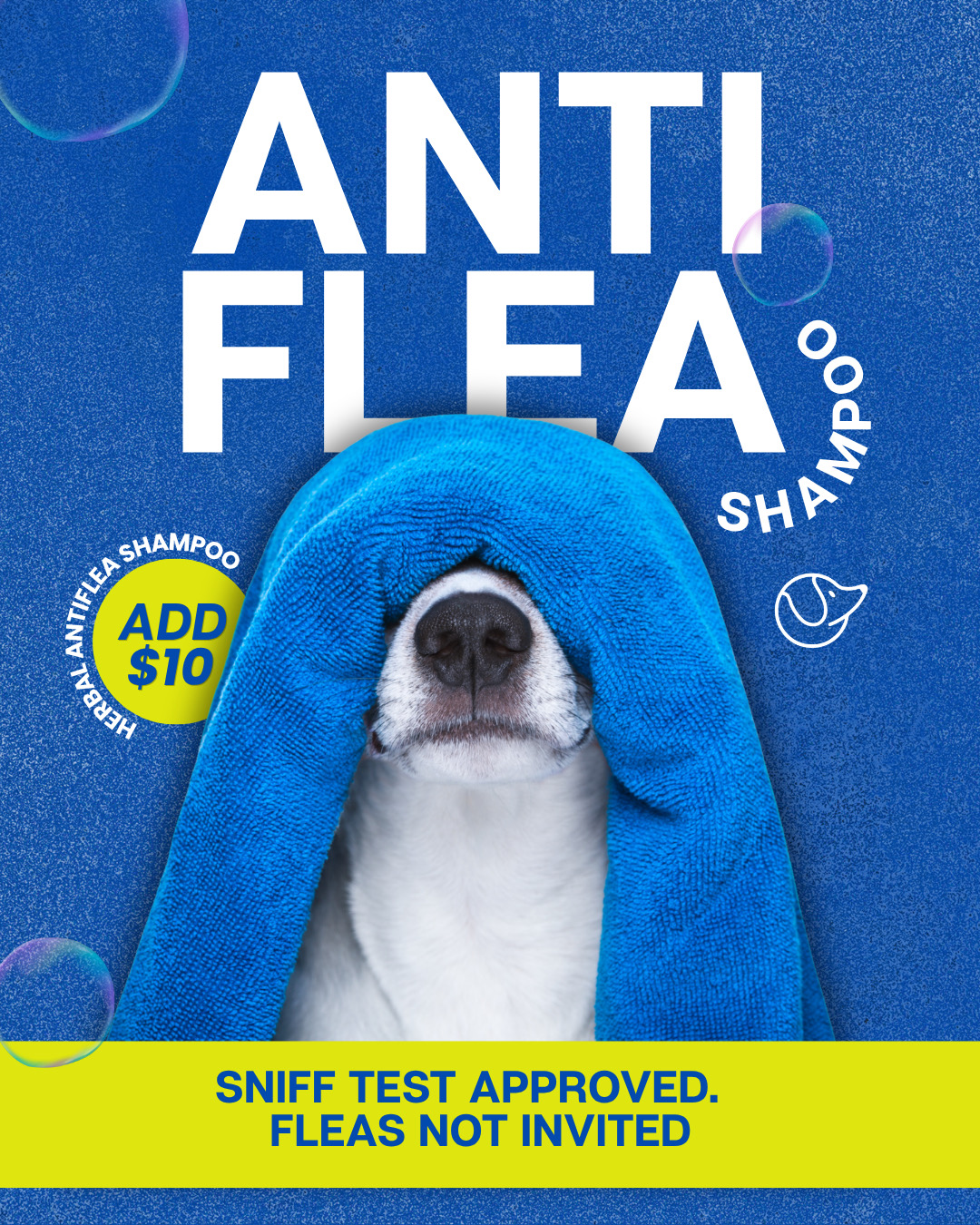 Fetch Pet Salon Facebook ad: Pet Grooming in Mcallen Tx.