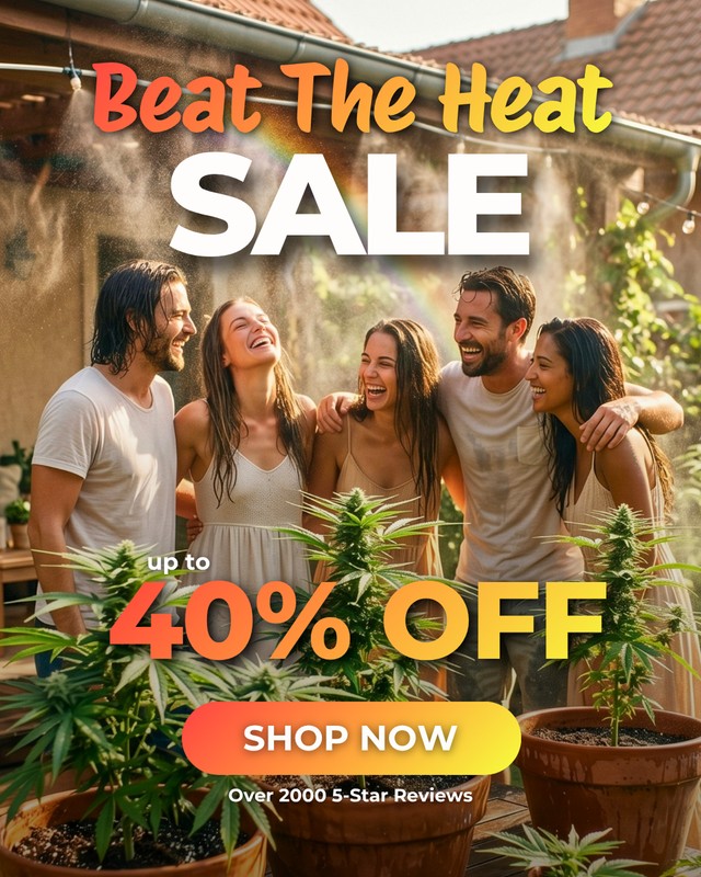 Pacific.Boutique Facebook ad from Jun 9, 2026