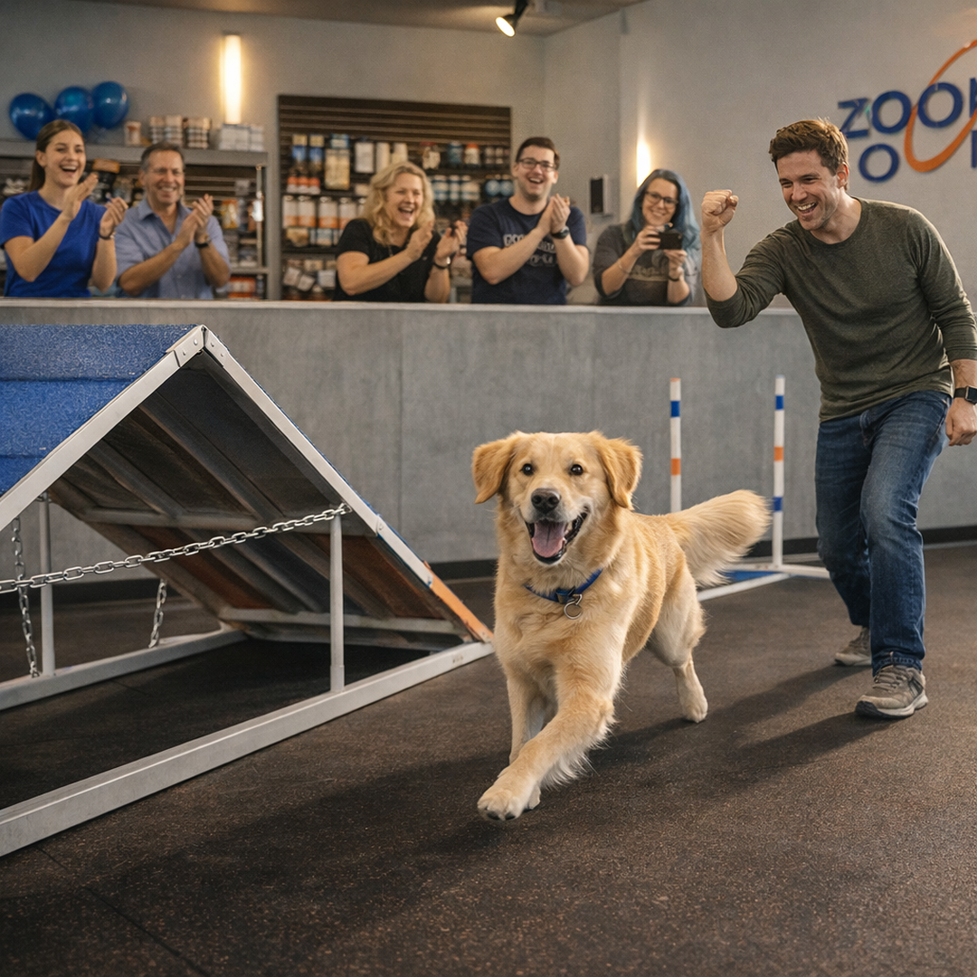 Zoom Room Dog Training Facebook ad from Jun 11, 2026