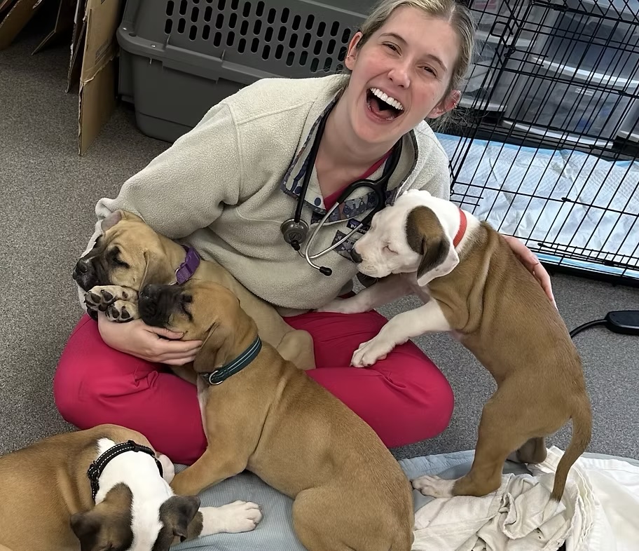 Vet At Your Door - Veterinary House Call Services Facebook ad