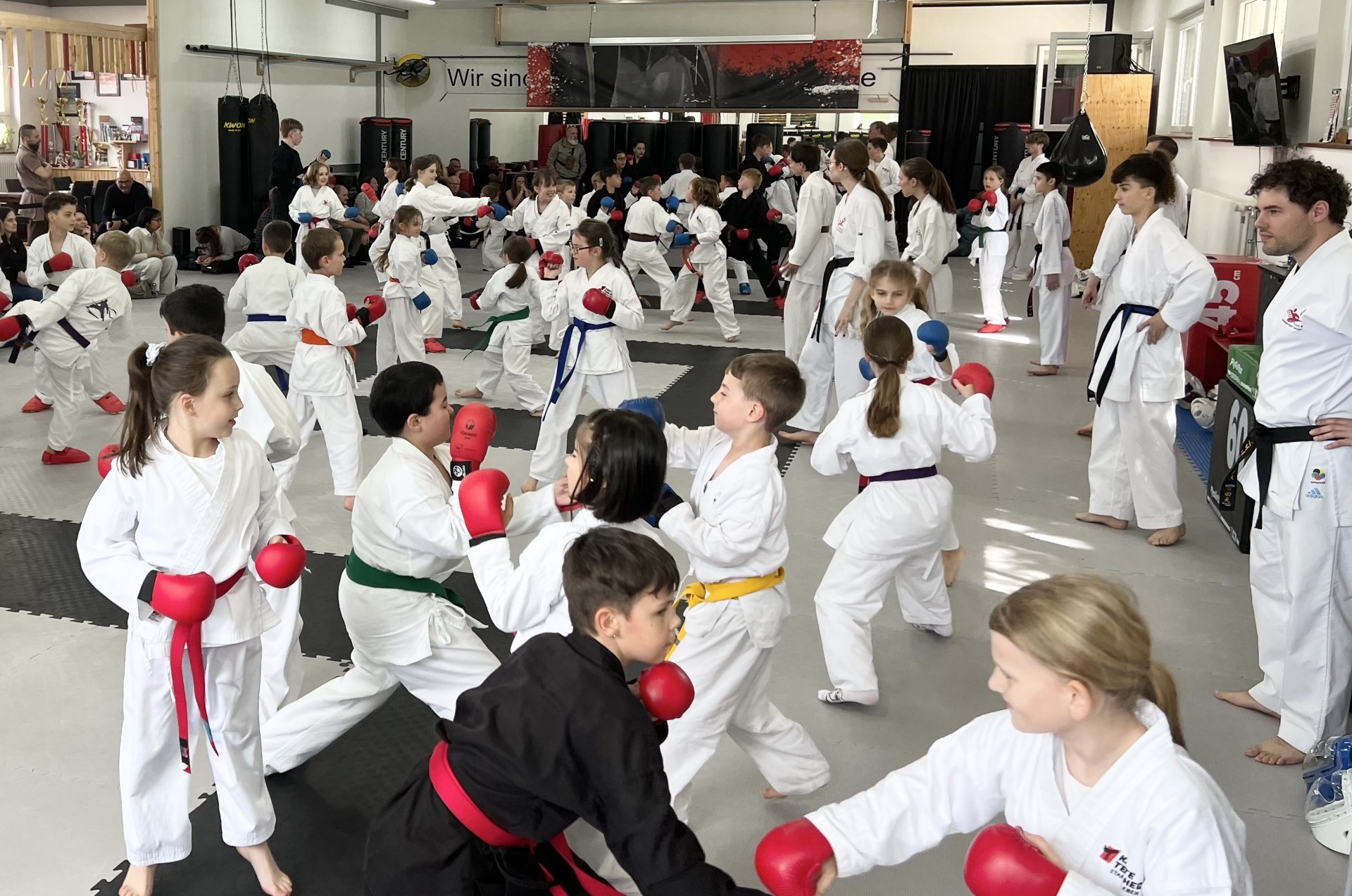 Karate Team Hegau Facebook ad