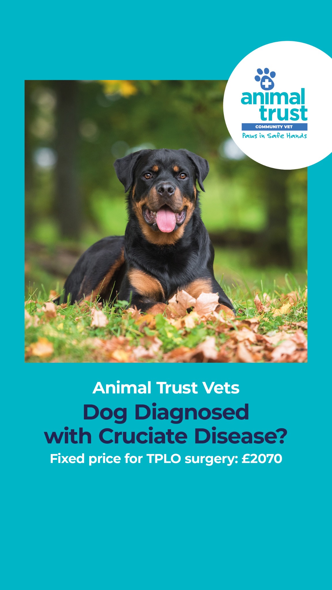 Animal Trust Vets Facebook ad