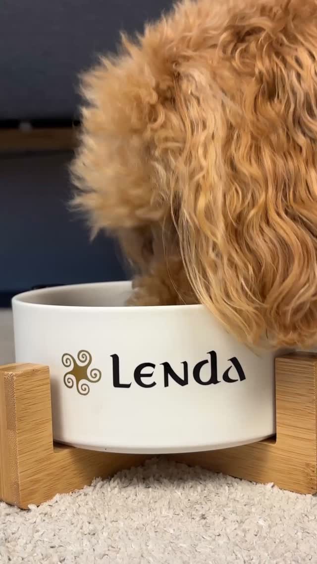 Lenda Facebook ad: Lenda: Alimentación saludable para perros y gatos