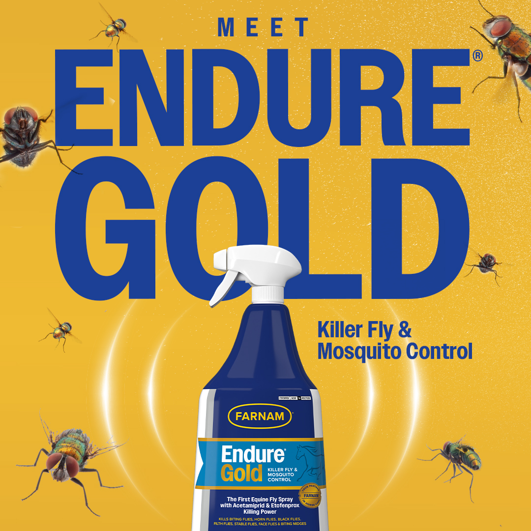 Farnam Horse Facebook ad: Endure Gold Killer Fly & Mosquito Control delivers…