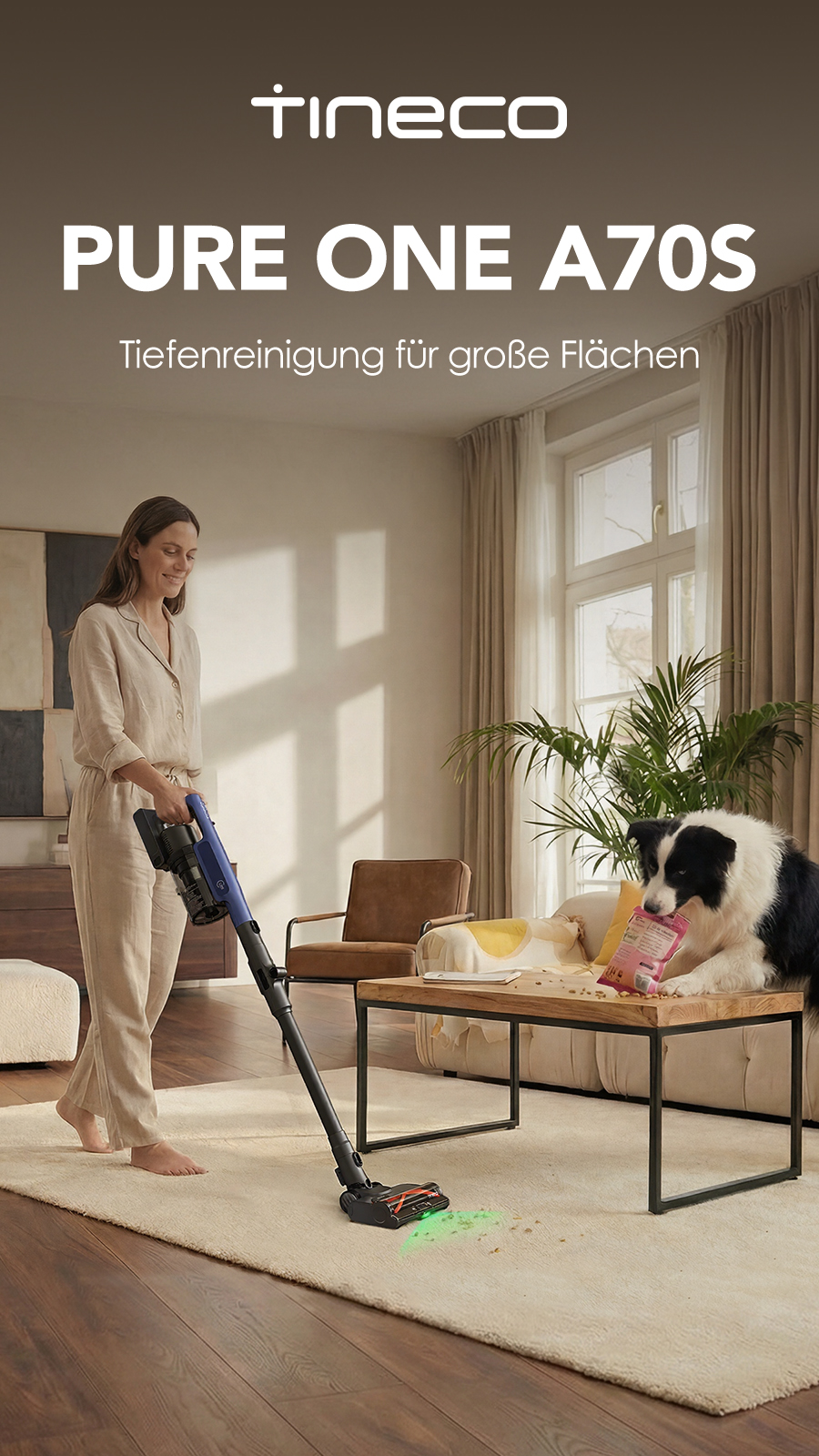 Tineco Deutschland Facebook ad