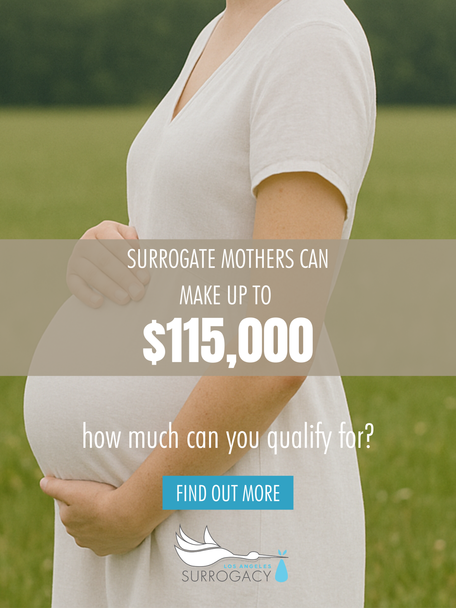 Los Angeles Surrogacy Facebook ad