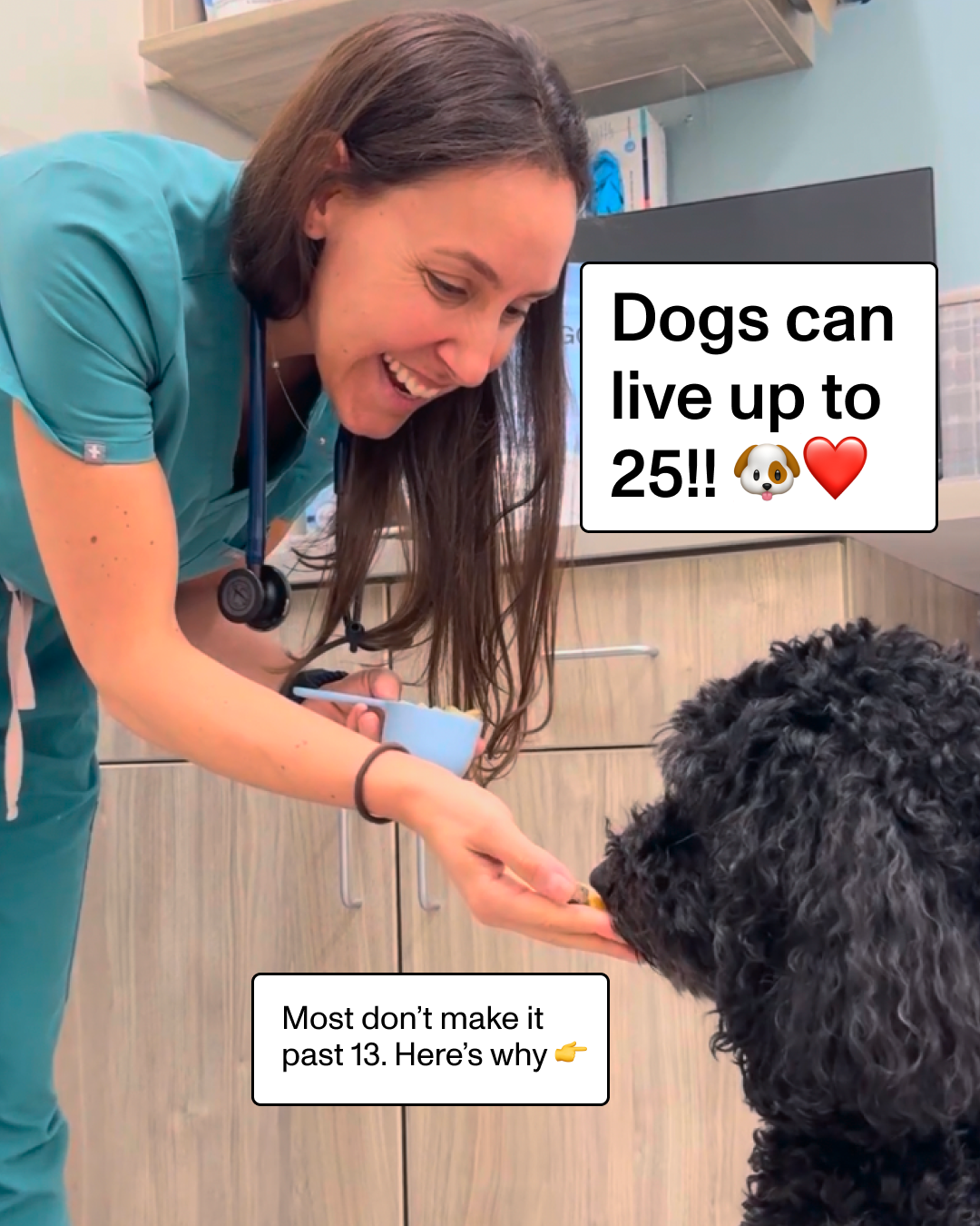 Dr. Stephanie Liff, DVM Facebook ad