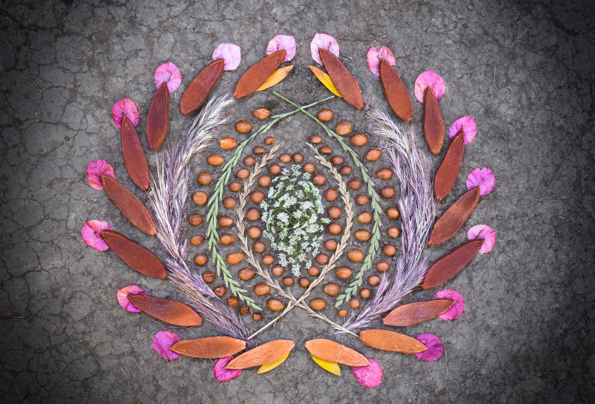 Morning Altars Facebook ad