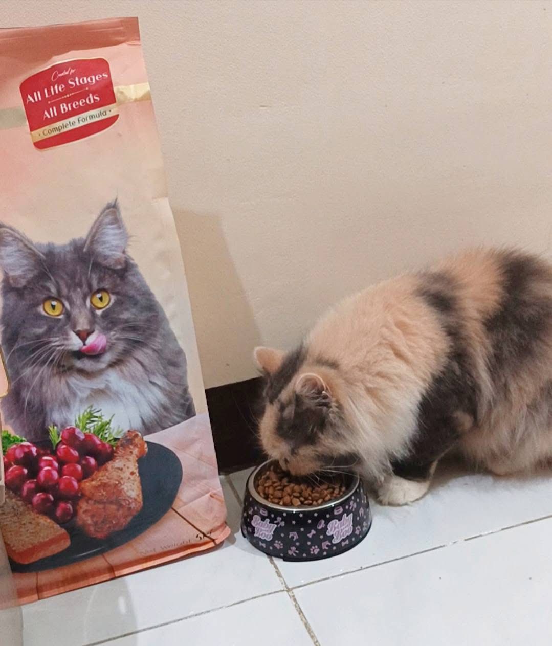 Same Day Pet Products Tanauan Batangas Facebook ad: SUPER SAYA KO SA FREYA CAT FOOD!
