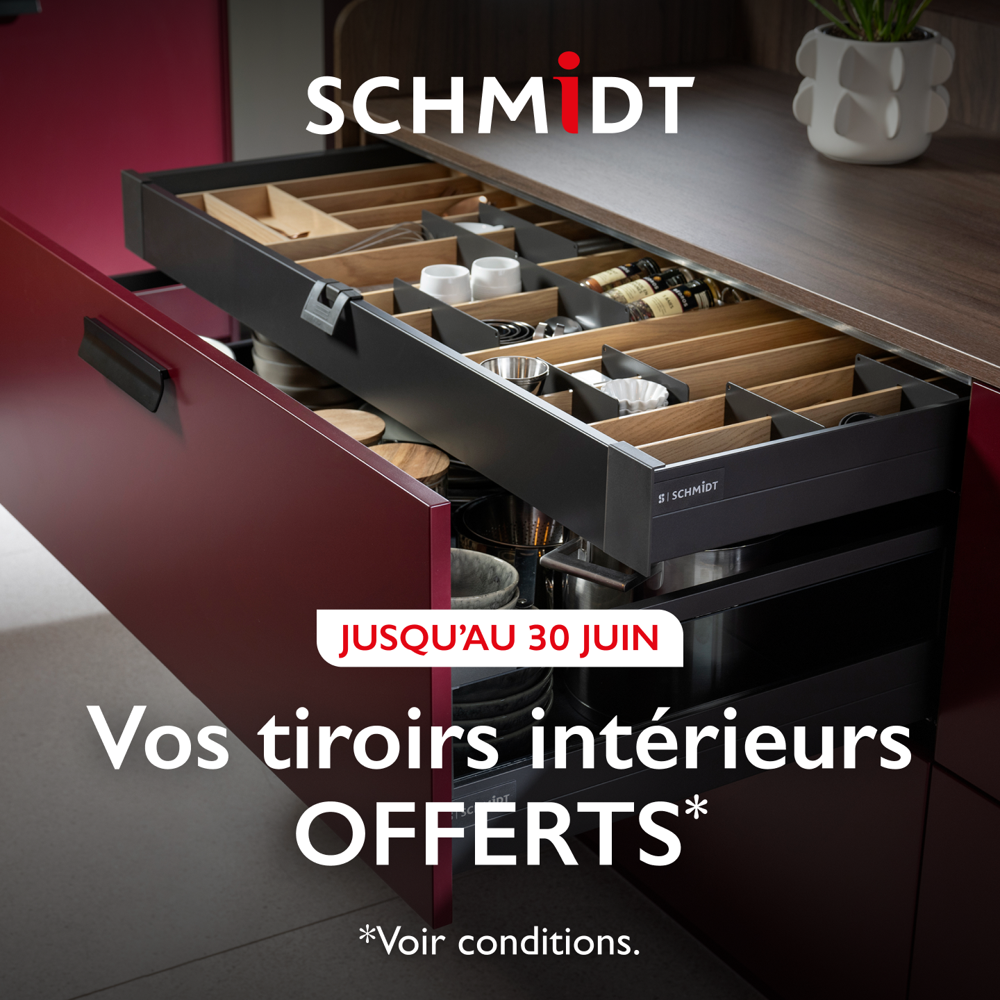 Schmidt Facebook ad