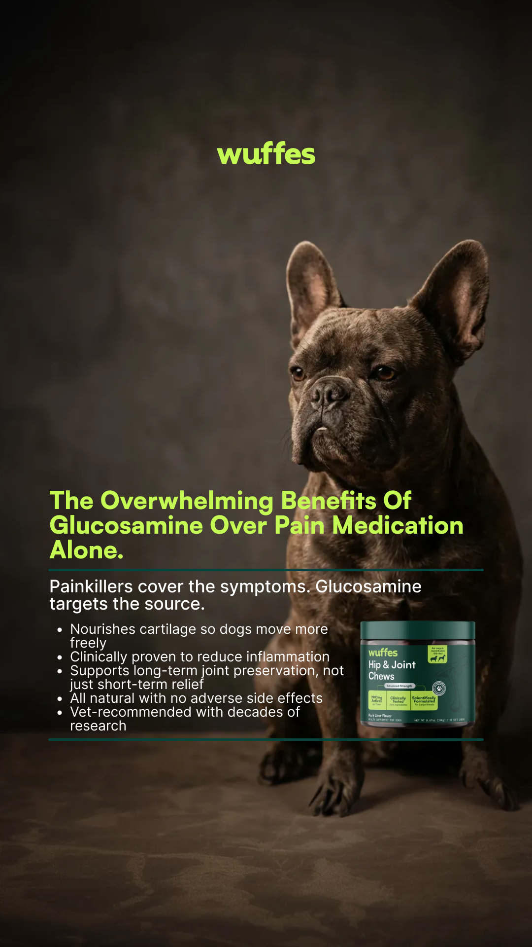 Everyday Pet Health Facebook ad