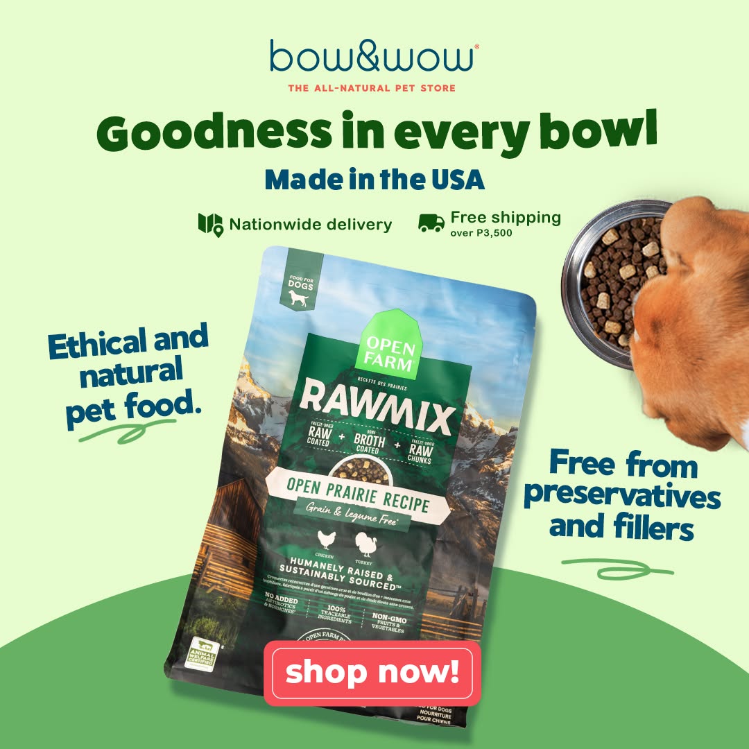 Bow & Wow – The All-Natural Pet Store Facebook ad