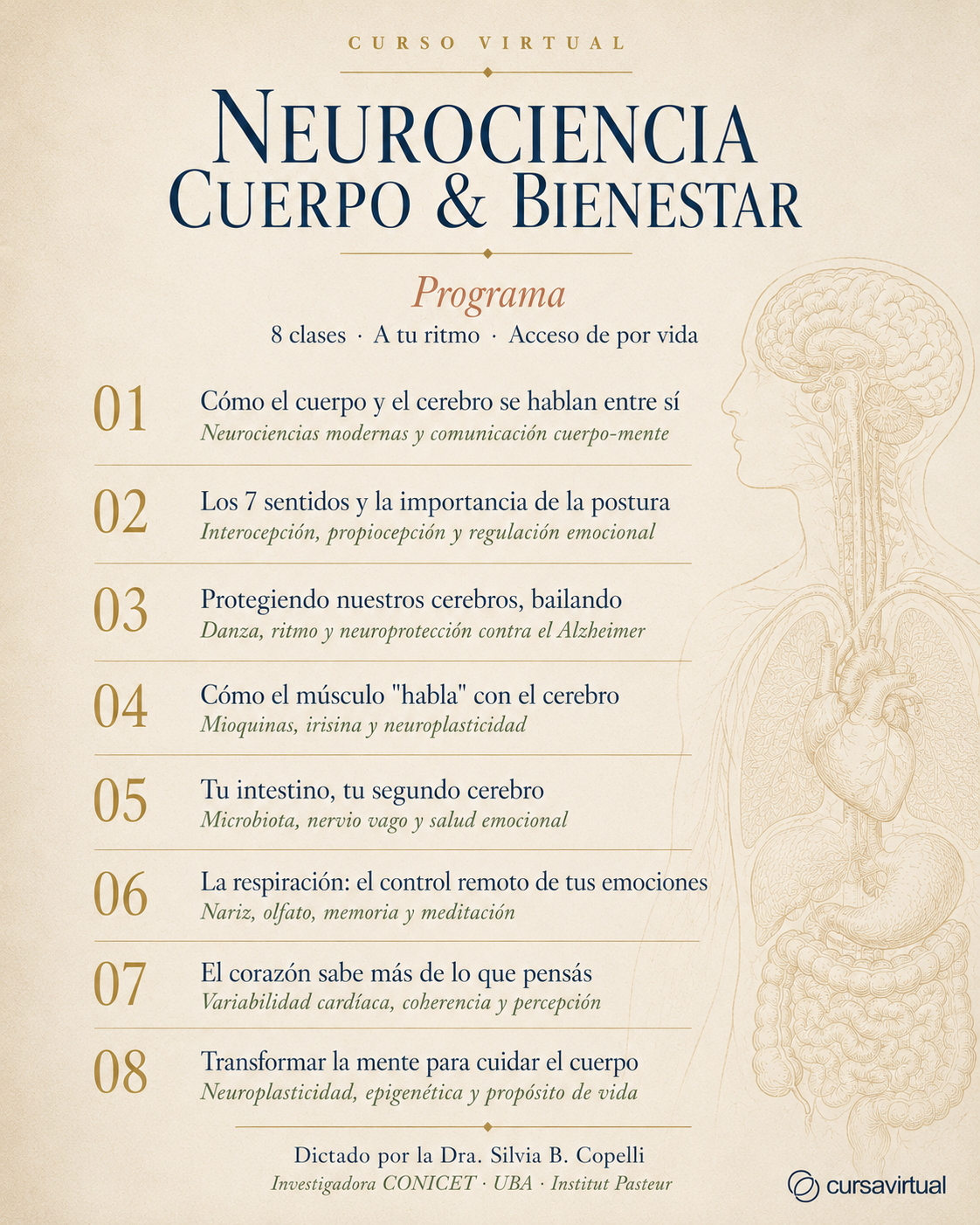 Cursa Virtual Facebook ad: 8 clases de neurociencia aplicada al cuerpo