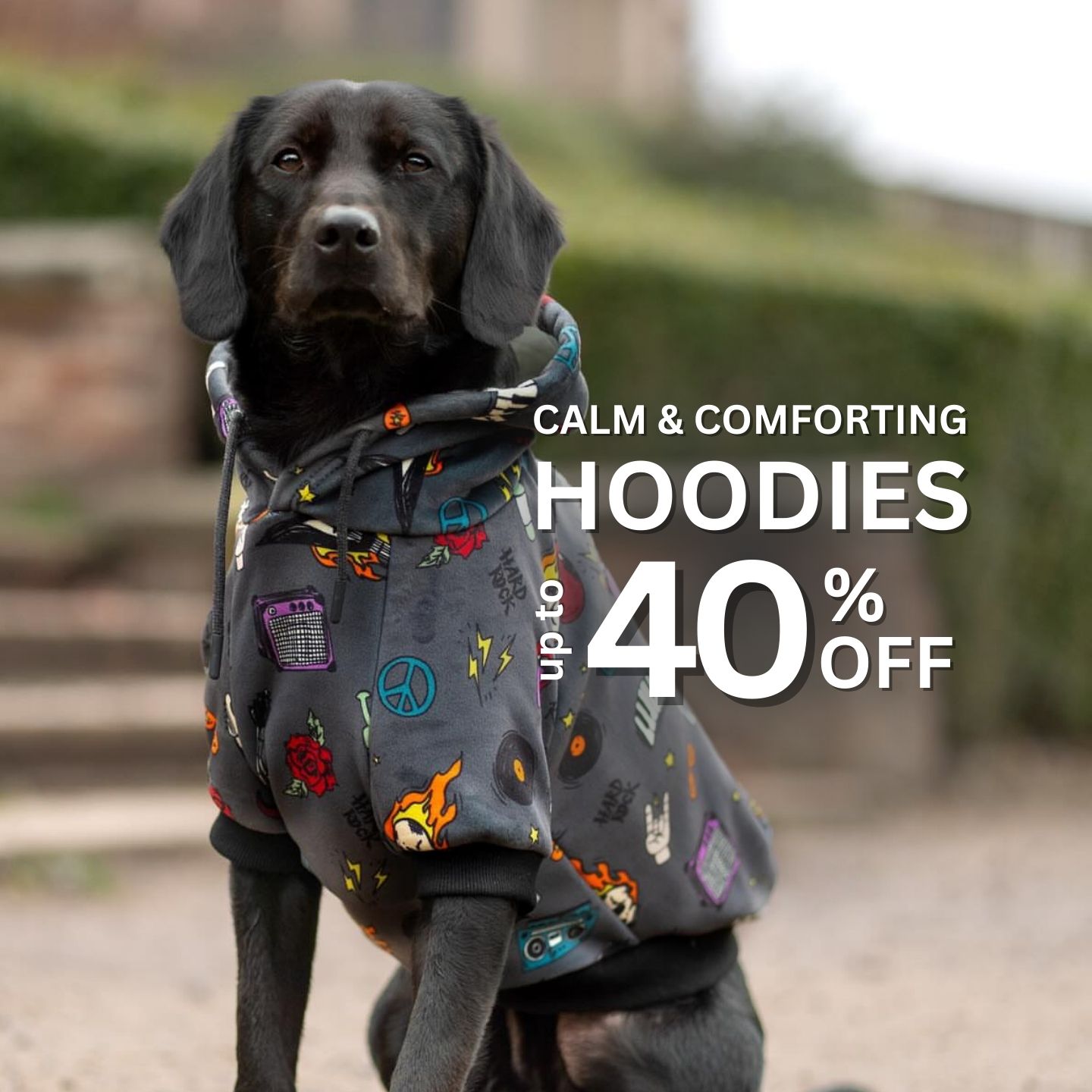Spark Paws Facebook ad