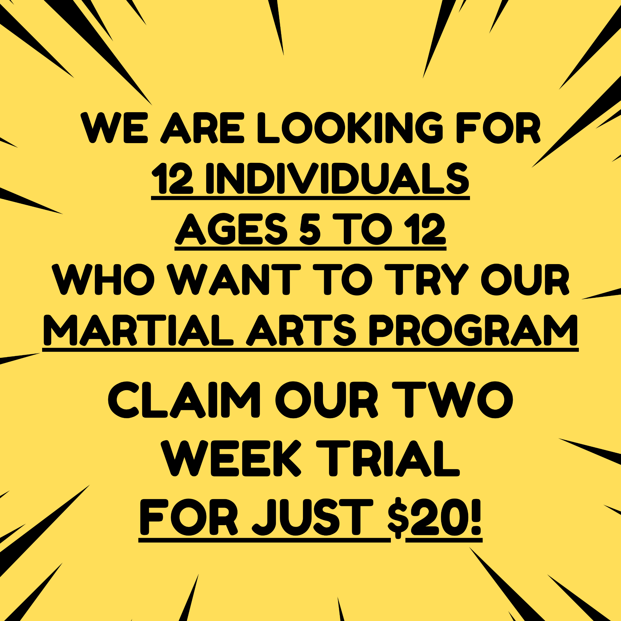 Orangevale Academy - Family Taekwondo Facebook ad