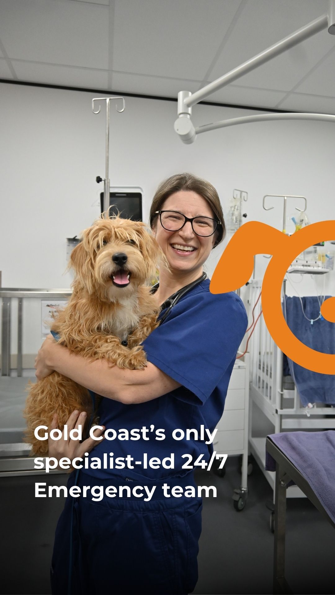 SASH - Small Animal Specialist Hospital Facebook ad from May 25, 2025