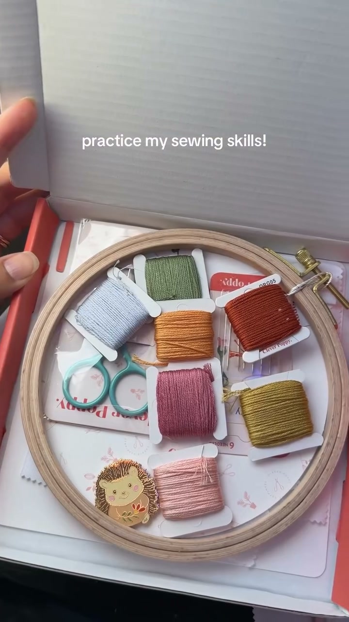 Clever Poppy Facebook ad: Embroidery Kit for Beginners