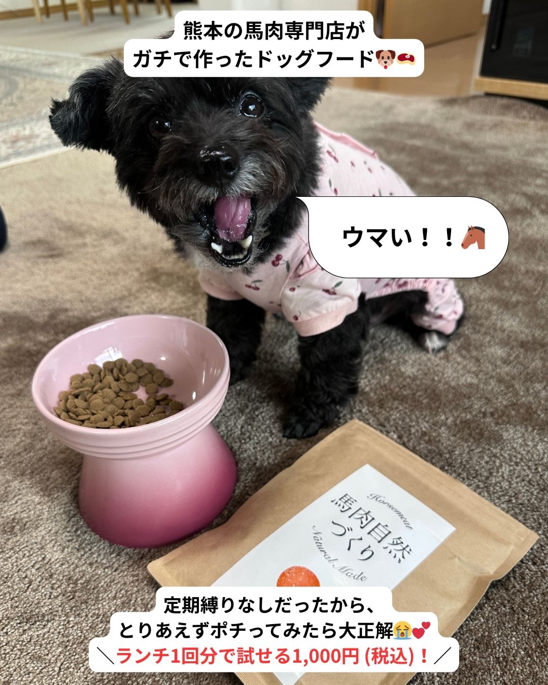 健康いぬ生活 Facebook ad