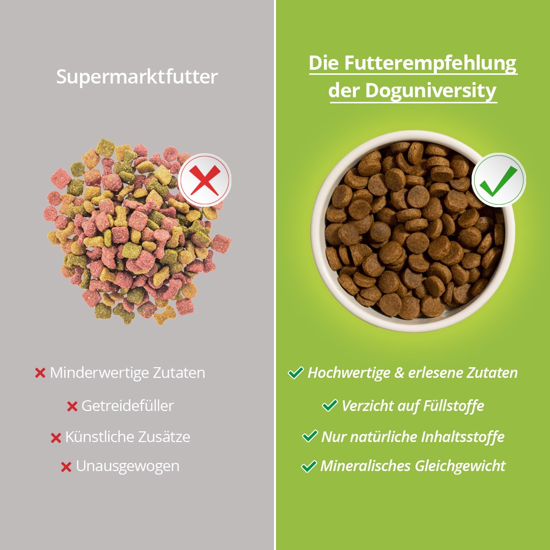 Doguniversity.de Facebook ad