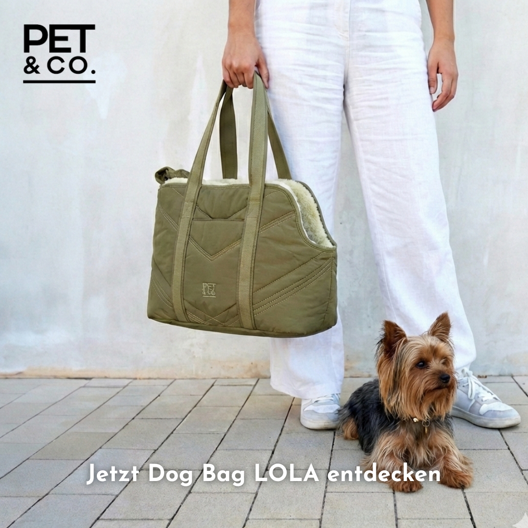 PET & Co. Zürich Facebook ad: Code: Welcome25
