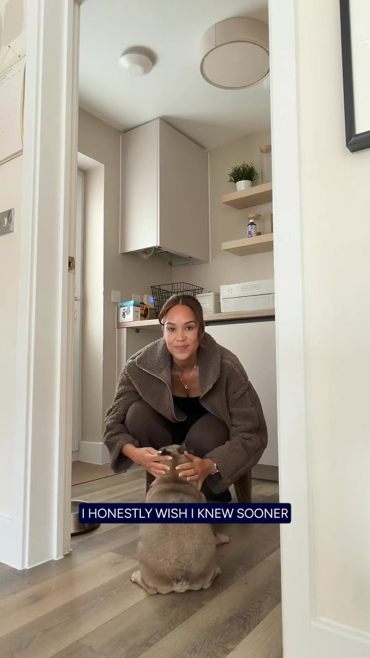 WellPaws Facebook ad from Jun 26, 2026