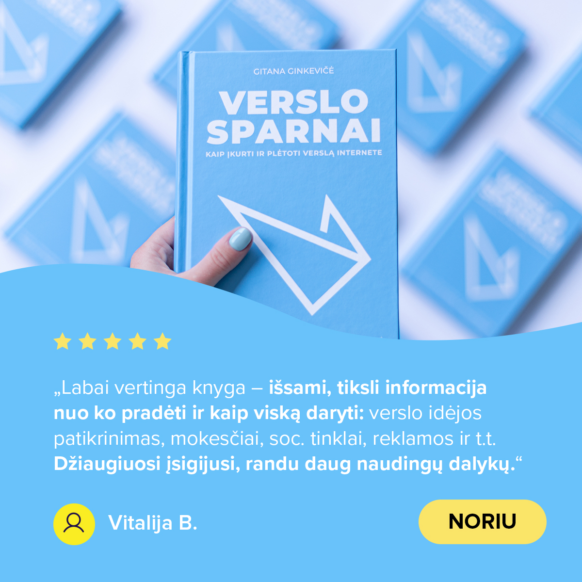 Verslo sparnai Facebook ad: Knyga Verslo sparnai, 12,99 €