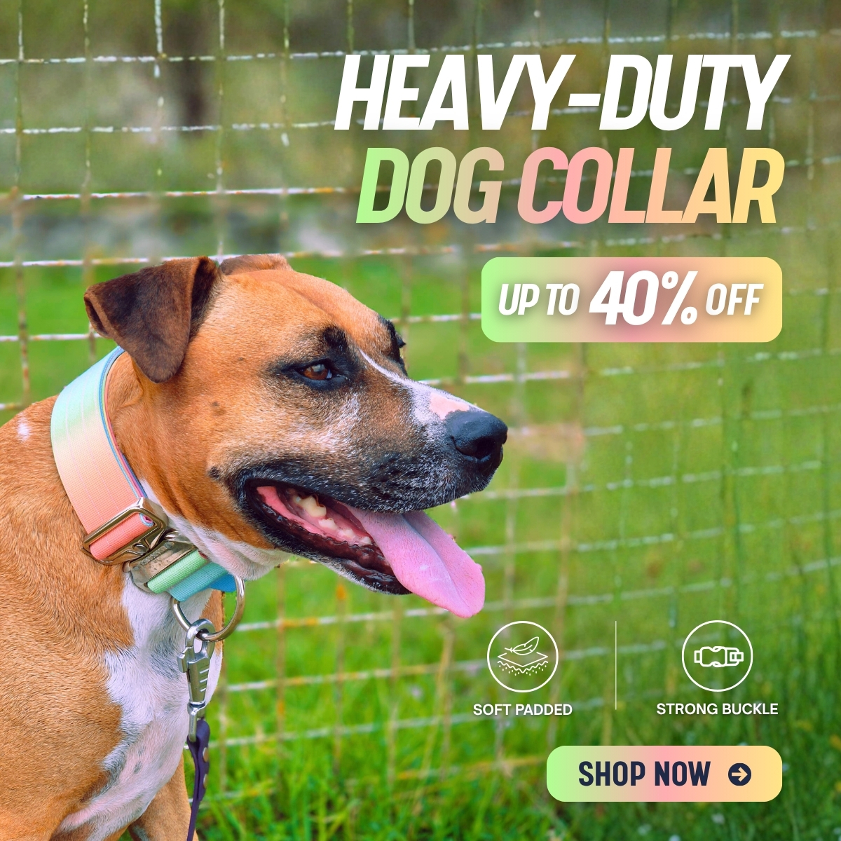 Spark Paws Facebook ad