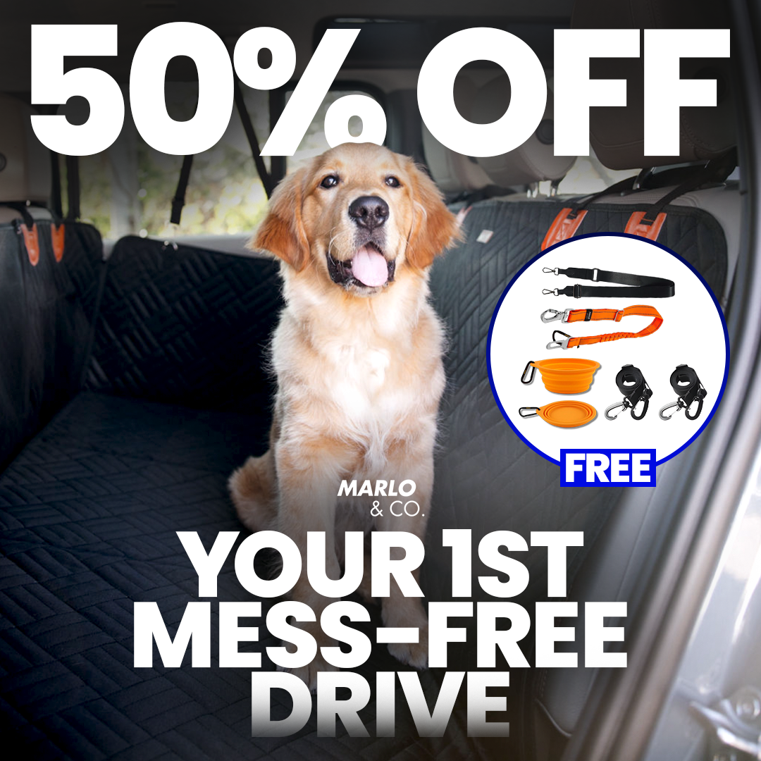 Marloandco Facebook ad