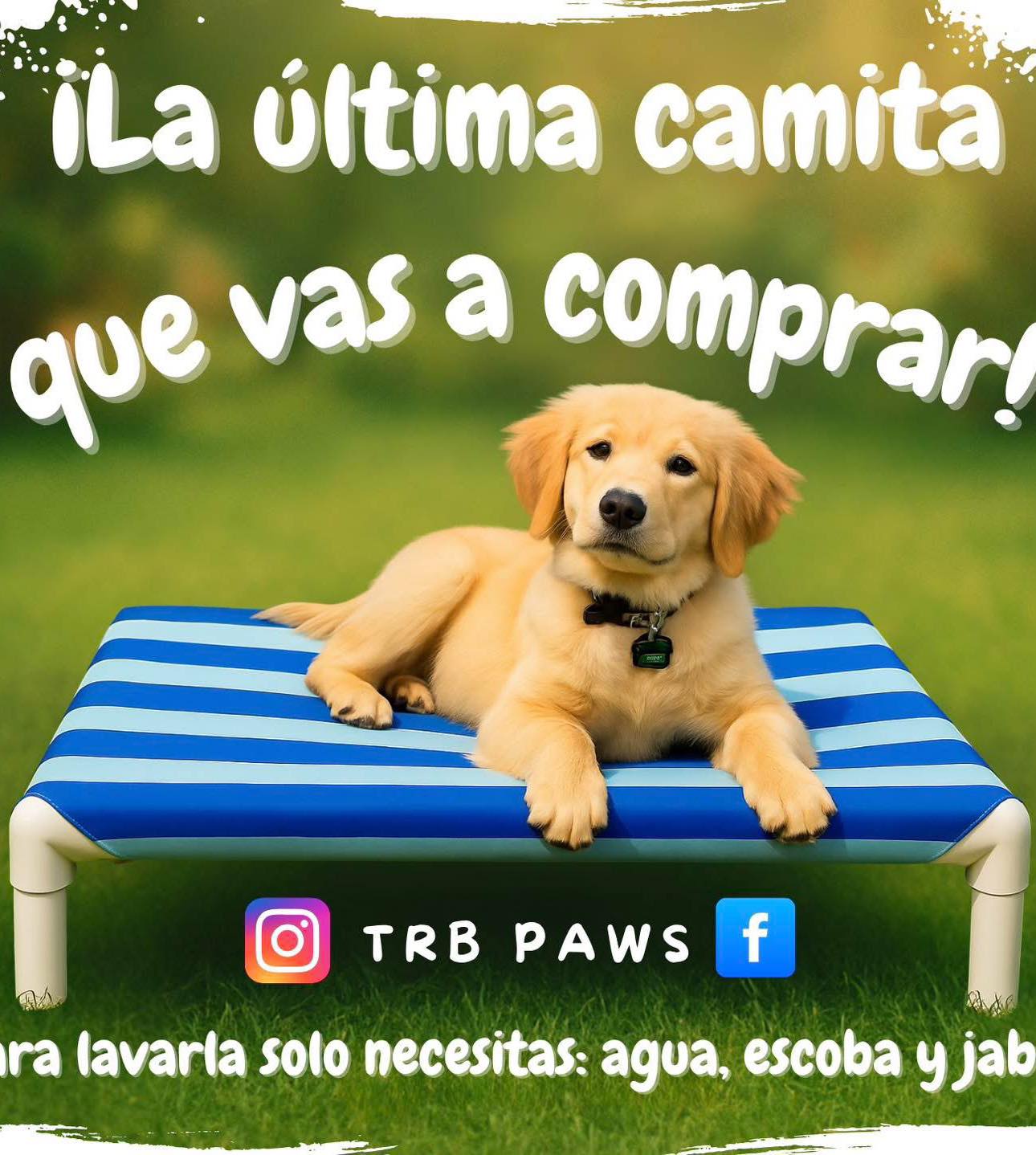TRB Paws Facebook ad: Camitas resistentes + fáciles de lavar