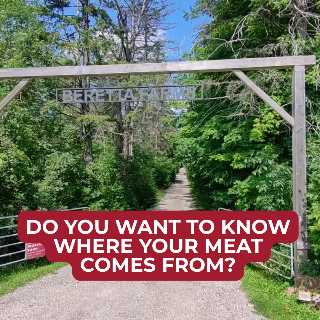 Beretta Farms Facebook ad