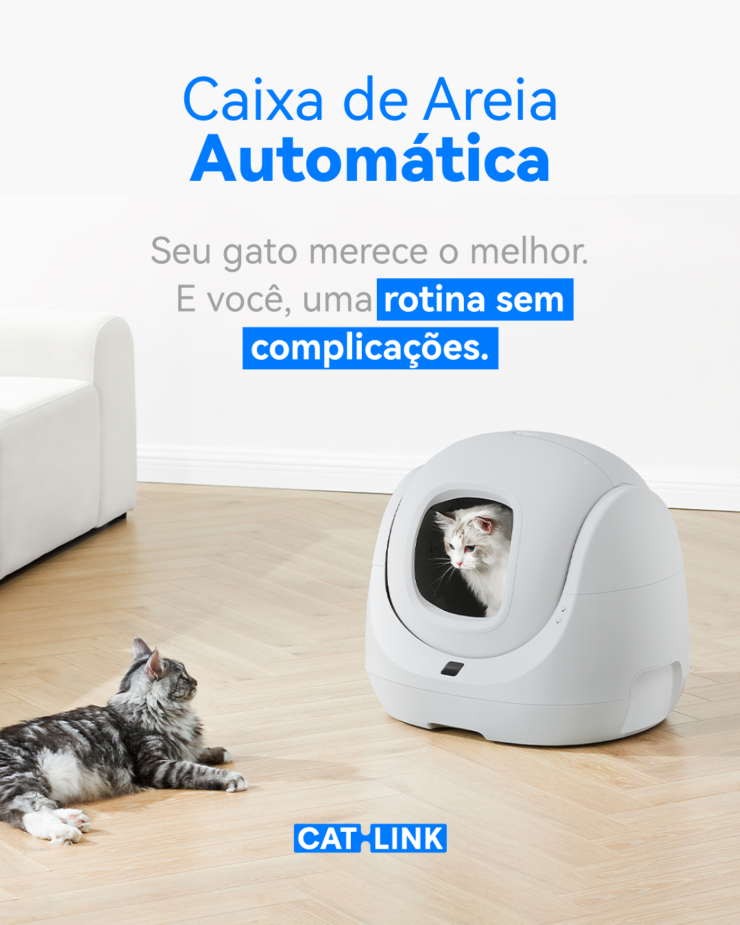 Petlove Facebook ad