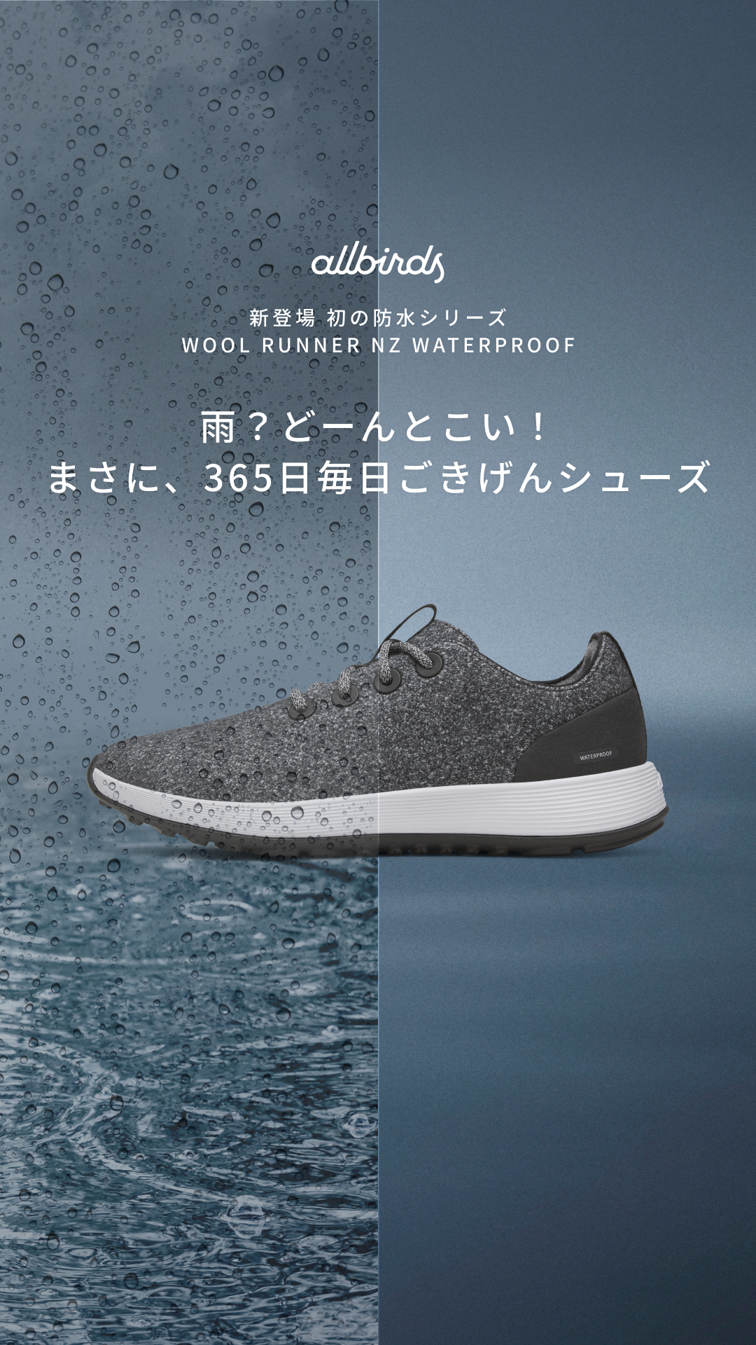 Allbirds Japan Facebook ad