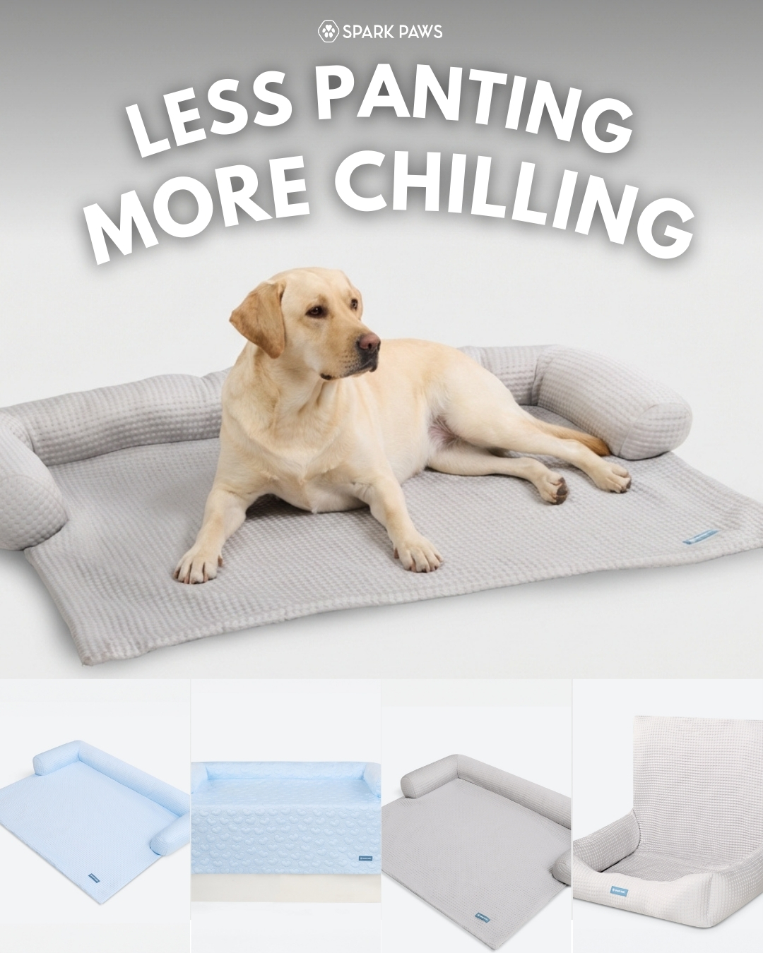 Spark Paws Facebook ad