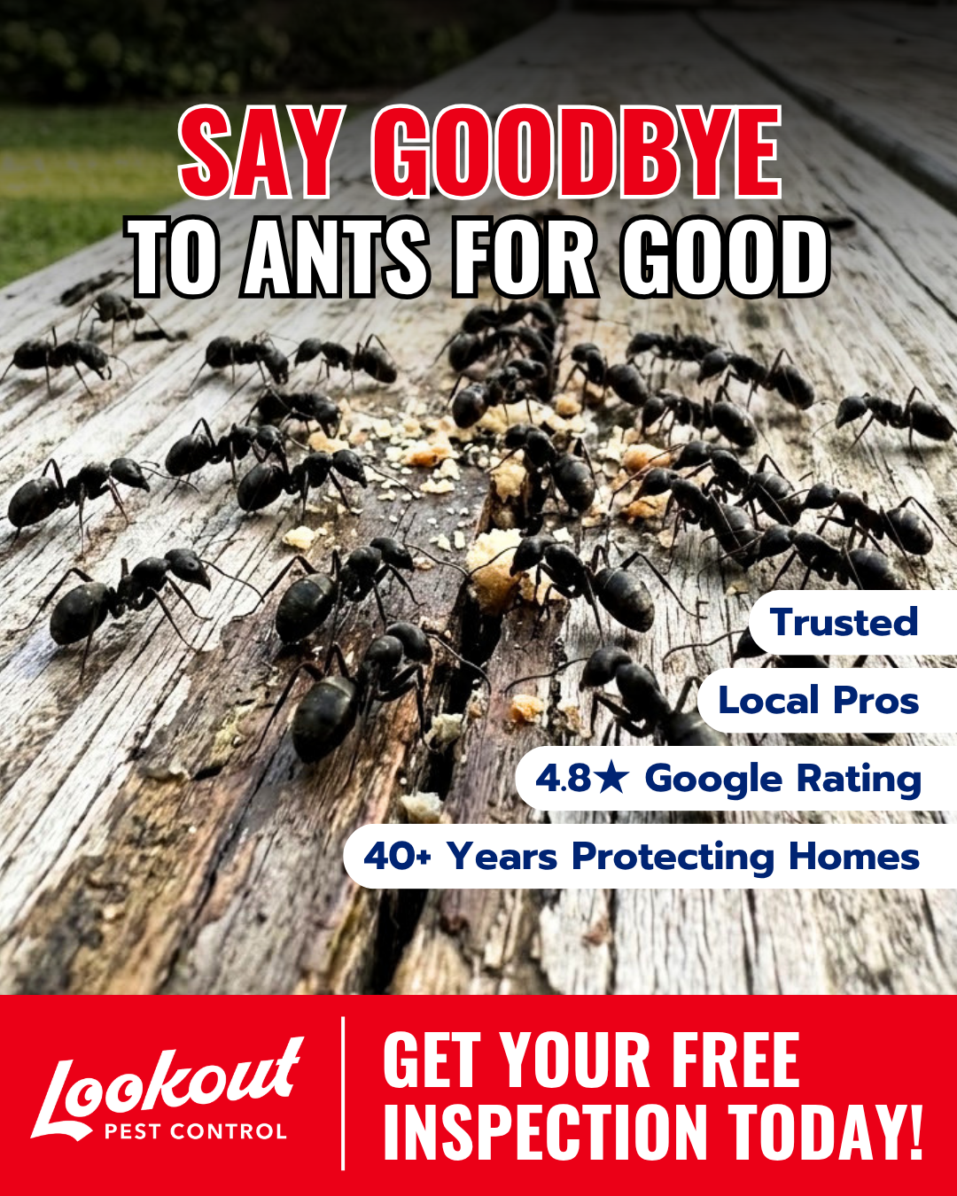 Lookout Pest Birmingham Facebook ad: Keep Ants Out This Spring!