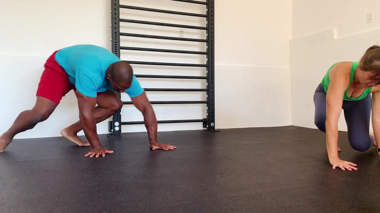 GMB Fitness Facebook ad: Animal moves for strength?