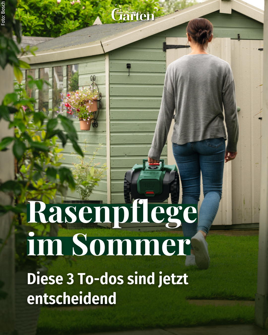 Mein schöner Garten Facebook ad from Jun 17, 2026