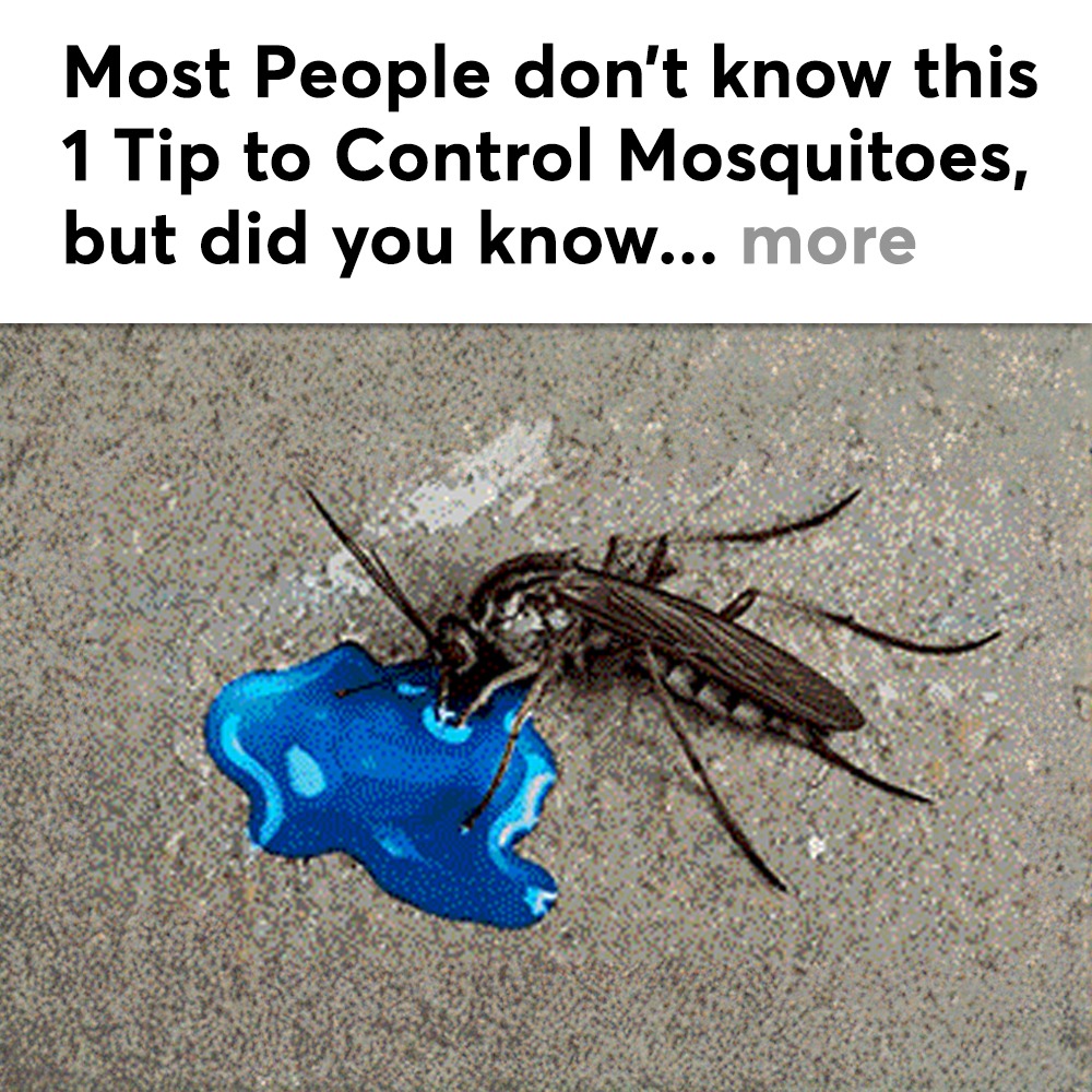 Mosquito Secrets Facebook ad