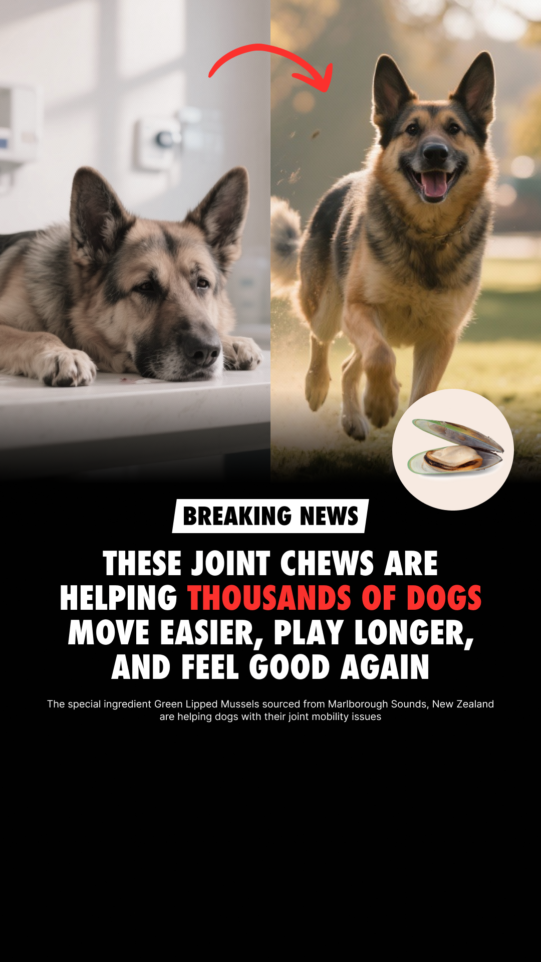 Wuffes Facebook ad